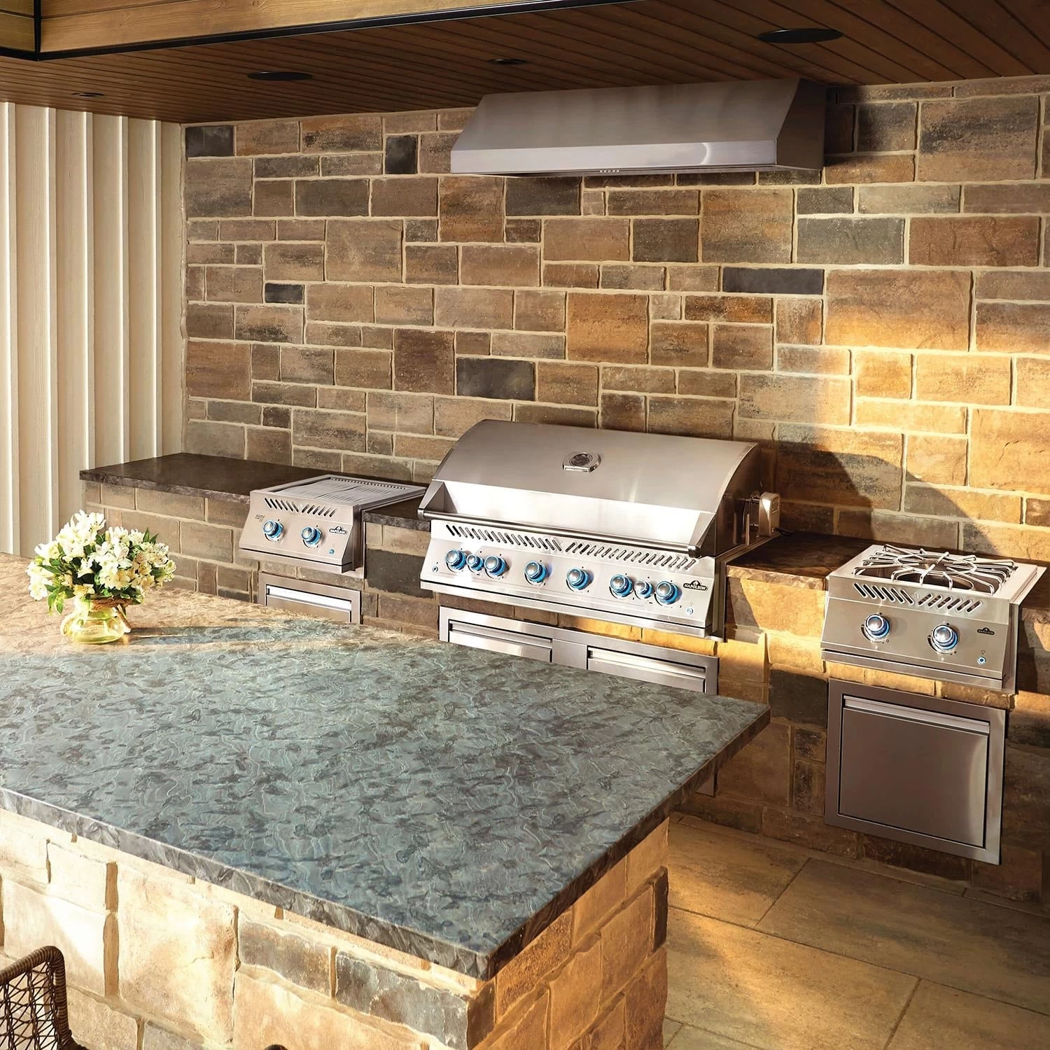 Napoleon Built In 700 Series 44" With Dual Infrared Rear Burners 10 Napoleon Built In 700 Series 44" With Dual Infrared Rear Burners - Image 9