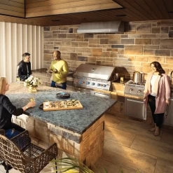 Napoleon Built In 700 Series 44" With Dual Infrared Rear Burners 17 Napoleon Built In 700 Series 44" With Dual Infrared Rear Burners -BBQ Shop napoleon built in 700 series 44 with dual infrared rear burners 938762