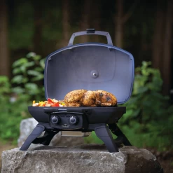 Napoleon - TravelQ 285 -BBQ Shop napoleon travelq 285 609320